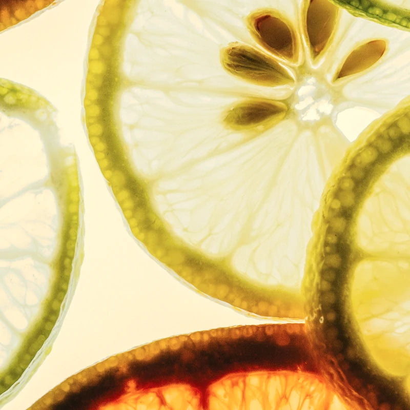 Backlit citrus slices in warm amber and cream light
